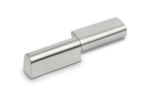 In-line hinge stainless steel  lift-off, screw-on